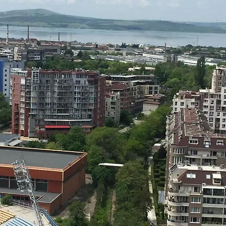 Raido View